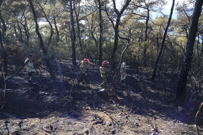 İstanbul'da yangınlara karşı 7 gün 24 saat teyakkuz